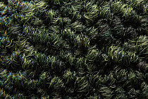 Rudiments Коллекция Basalt 685 фото 7 | FLOORDEALER